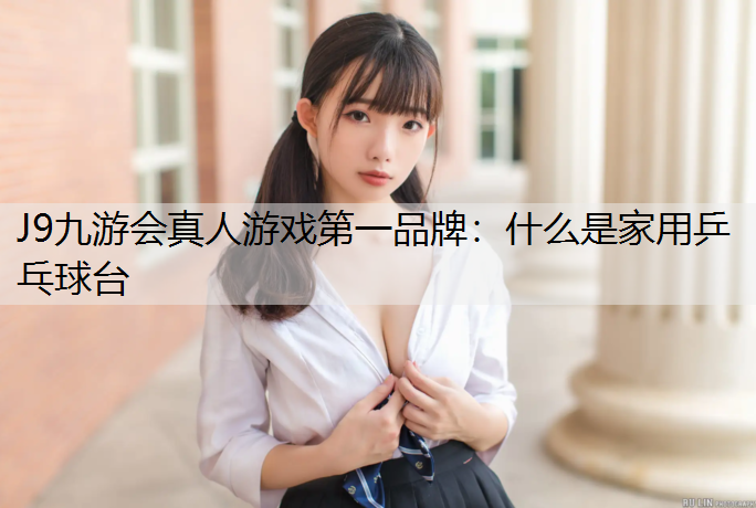 什么是家用乒乓球台
