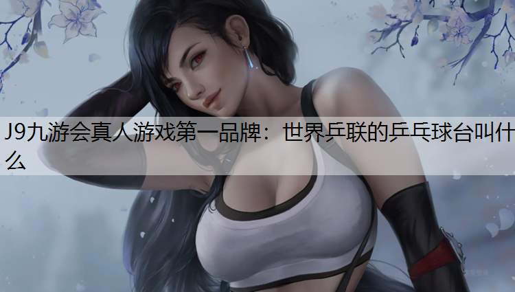 世界乒联的乒乓球台叫什么