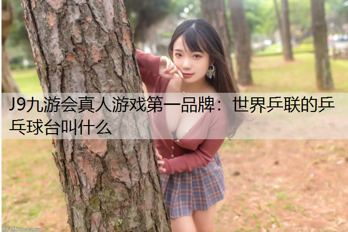 世界乒联的乒乓球台叫什么