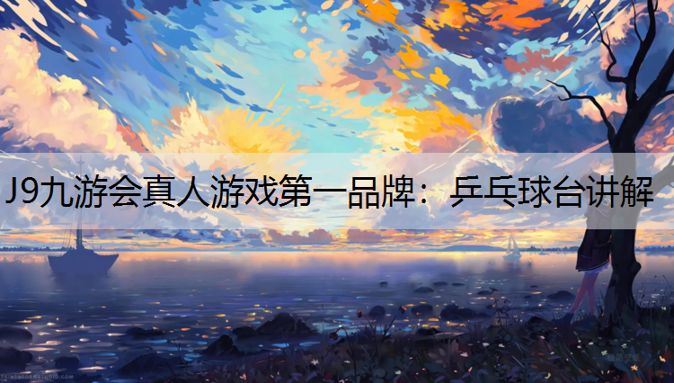 乒乓球台讲解